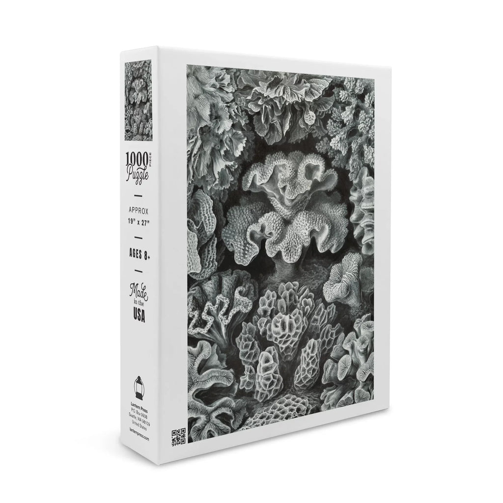 Ernst Haeckel, Hexacoralla (1000 Piece Puzzle, Size 19x27, Challenging Jigsaw Puzzle for Adults and Family, Made in USA)