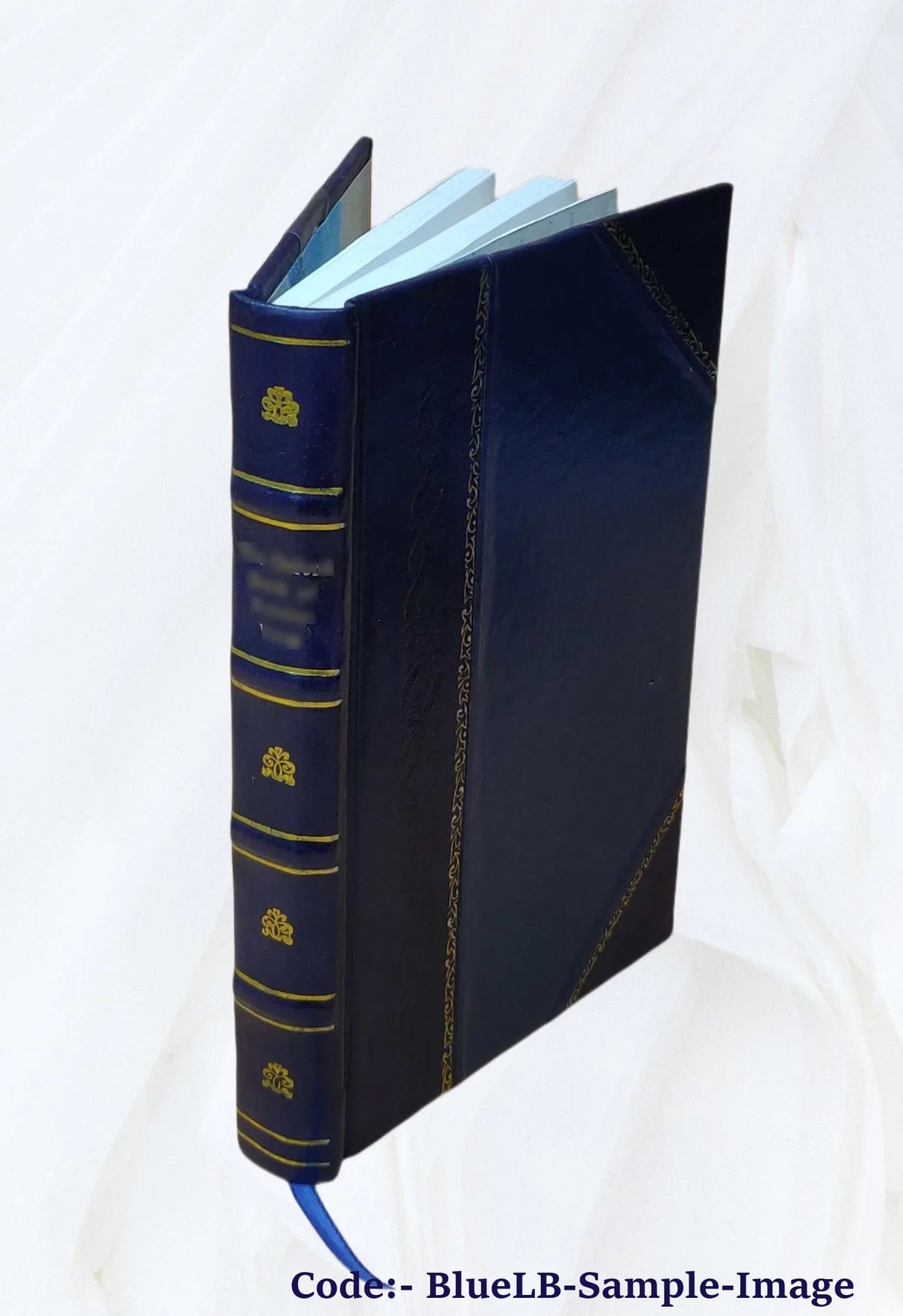 The works of John Jewel, D.D., Bishop of Salisbury / edited by Richard William Jelf. Volume v.7 1848 [Leather Bound]