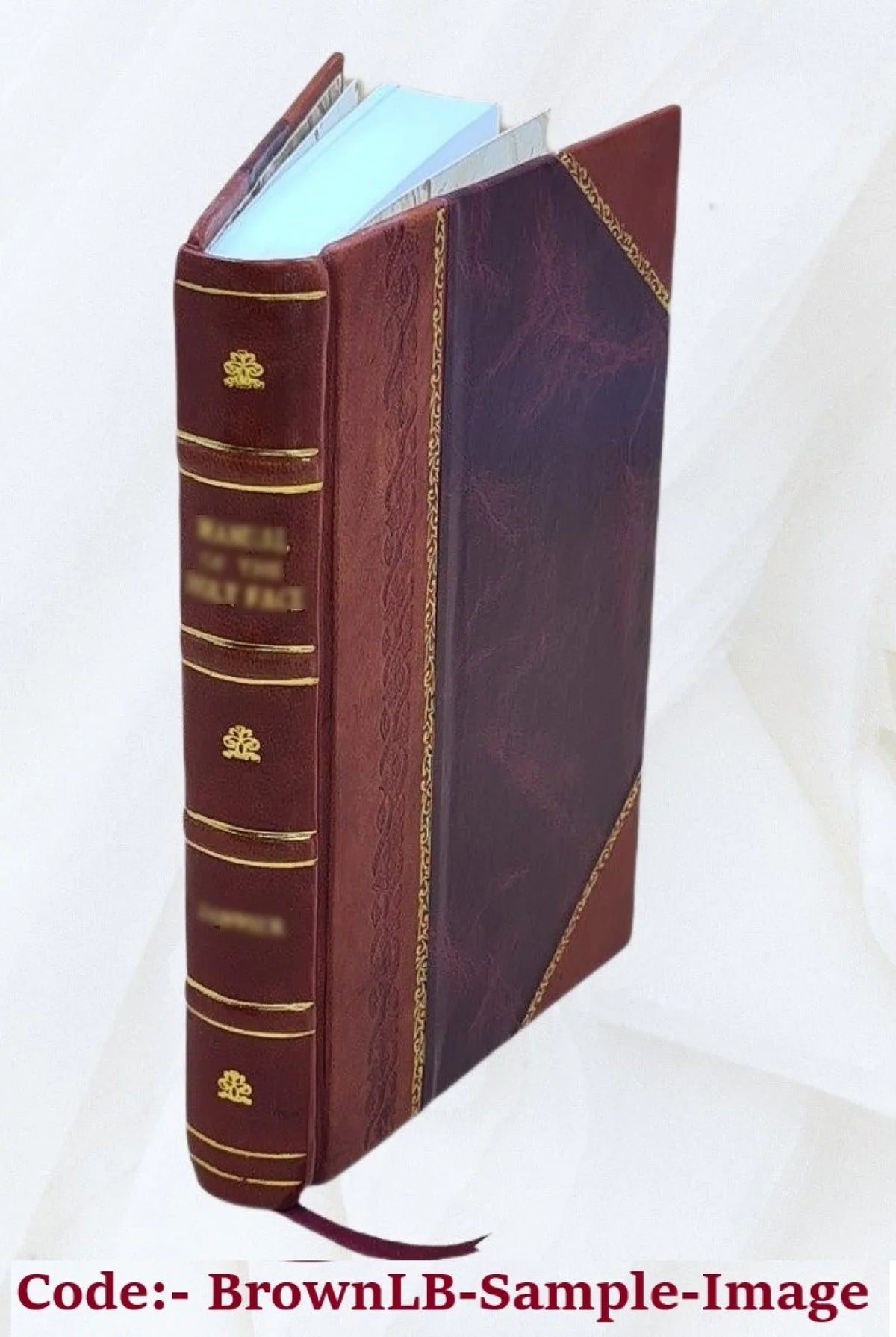 Della istoria ecclesiastica descritta da F. Giuseppe Agostino Orsi 'ordine de'predicatori ... Tomo primo ventesimo primo Tomo decimo ottavo contenente la storia della chiesa 'anno 533 fino all