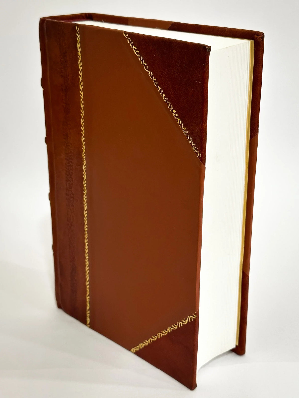 Pratica D'Arithmetica, E Geometria, Nuouamente Posta in Luce Dal R.P.F. Lorenzo Forestani Da Pescia ... Nella Qual Si Dimostra Un Vero, E Facilissimo Modo Da Risoluer Ogni Sorte (1603) [Leather Bound]