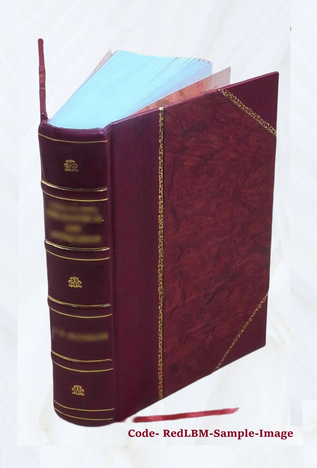 Apparatus biblicus, sive Manuductio ad Sacram Scripturam, tum clariùs, tum faciliùs Processor Auctore r.p. Bernardo Lamy, .. 1723 [Leather Bound]