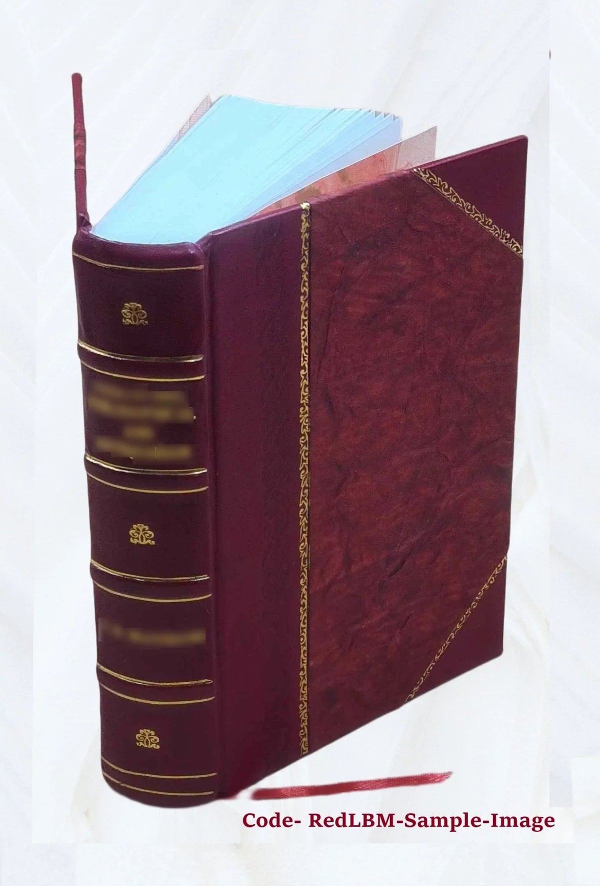 Apparatus biblicus, sive Manuductio ad Sacram Scripturam, tum clariùs, tum faciliùs Processor Auctore r.p. Bernardo Lamy, .. 1723 [Leather Bound]