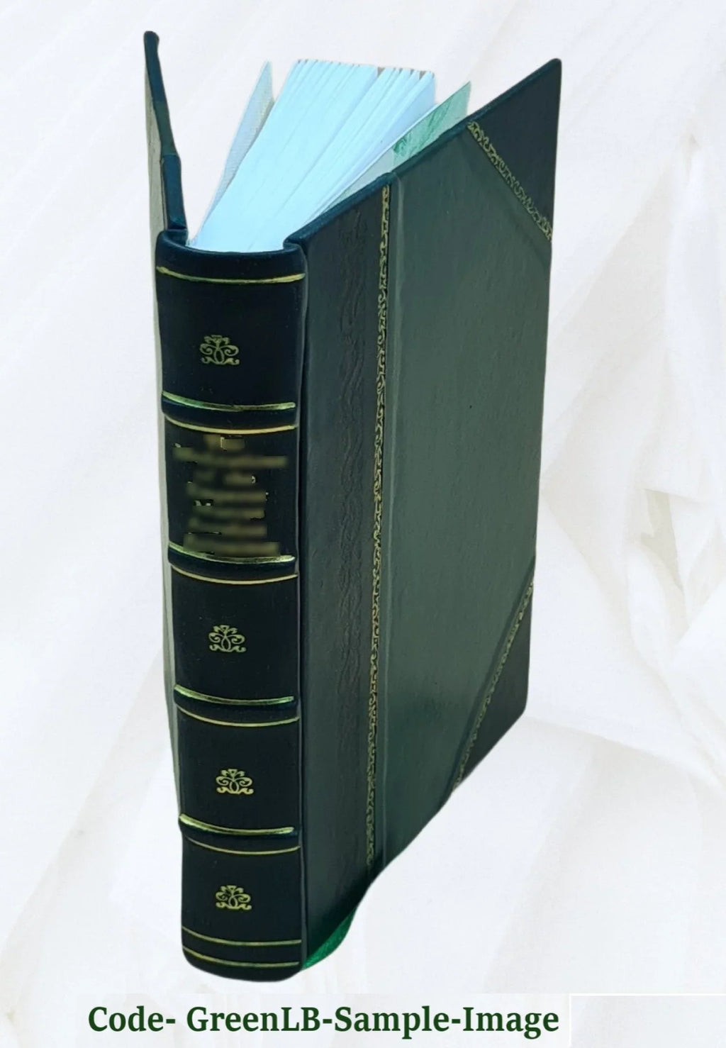 Sok pyongjang tosol 1750 [Leather Bound]
