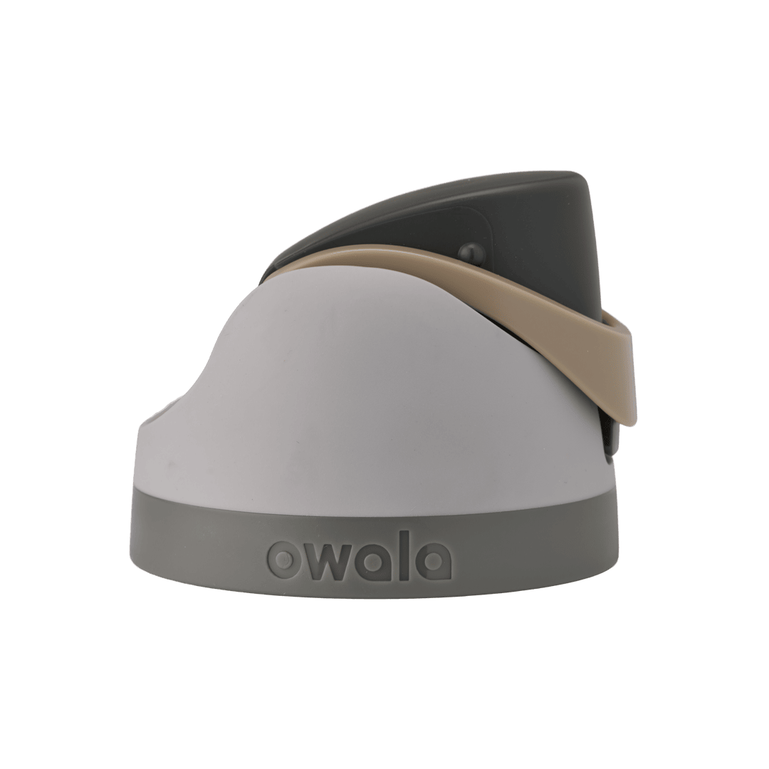 Brunch Bunch